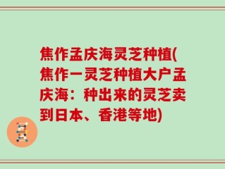 焦作孟庆海灵芝种植(焦作一灵芝种植大户孟庆海：种出来的灵芝卖到日本、香港等地)