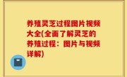 养殖灵芝过程图片视频大全(全面了解灵芝的养殖过程：图片与视频详解)