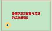 番薯灵芝(番薯与灵芝的完美搭配)
