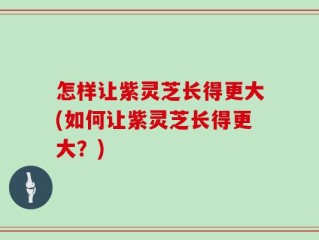 怎样让紫灵芝长得更大(如何让紫灵芝长得更大？)