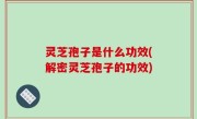 灵芝孢子是什么功效(解密灵芝孢子的功效)