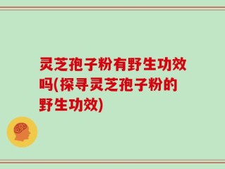 灵芝孢子粉有野生功效吗(探寻灵芝孢子粉的野生功效)