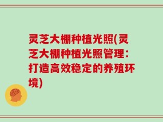 灵芝大棚种植光照(灵芝大棚种植光照管理：打造高效稳定的养殖环境)