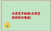 大灵芝干啥用(大灵芝的功效与用途)