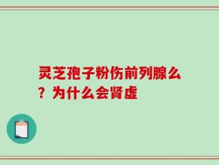 灵芝孢子粉伤前列腺么？为什么会肾虚
