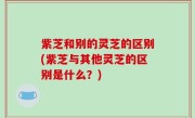 紫芝和别的灵芝的区别(紫芝与其他灵芝的区别是什么？)