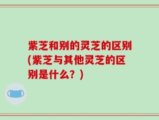 紫芝和别的灵芝的区别(紫芝与其他灵芝的区别是什么？)