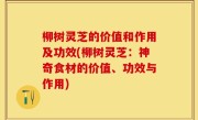 柳树灵芝的价值和作用及功效(柳树灵芝：神奇食材的价值、功效与作用)