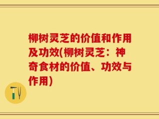 柳树灵芝的价值和作用及功效(柳树灵芝：神奇食材的价值、功效与作用)