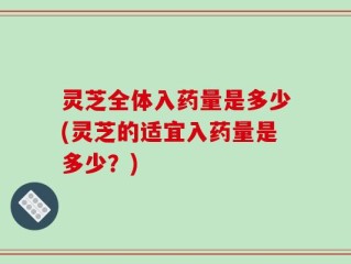 灵芝全体入药量是多少(灵芝的适宜入药量是多少？)