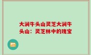大涧牛头山灵芝大涧牛头山：灵芝林中的瑰宝