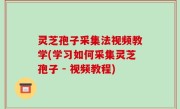 灵芝孢子采集法视频教学(学习如何采集灵芝孢子 - 视频教程)
