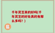 千年灵芝真的好吗(千年灵芝的好处真的有那么多吗？)