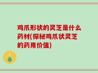 鸡爪形状的灵芝是什么药材(探秘鸡爪状灵芝的药用价值)