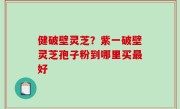 健破壁灵芝？紫一破壁灵芝孢子粉到哪里买最好