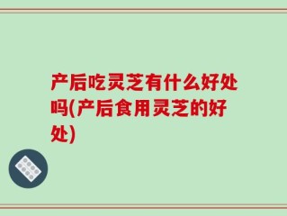 产后吃灵芝有什么好处吗(产后食用灵芝的好处)