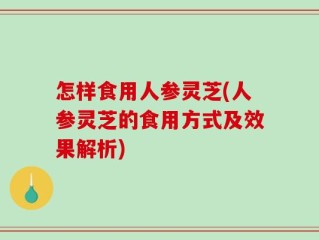 怎样食用人参灵芝(人参灵芝的食用方式及效果解析)