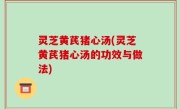 灵芝黄芪猪心汤(灵芝黄芪猪心汤的功效与做法)