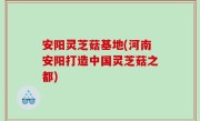 安阳灵芝菇基地(河南安阳打造中国灵芝菇之都)