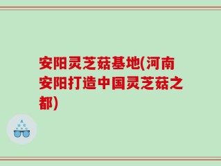 安阳灵芝菇基地(河南安阳打造中国灵芝菇之都)
