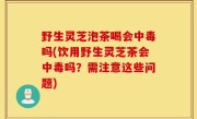 野生灵芝泡茶喝会中毒吗(饮用野生灵芝茶会中毒吗？需注意这些问题)