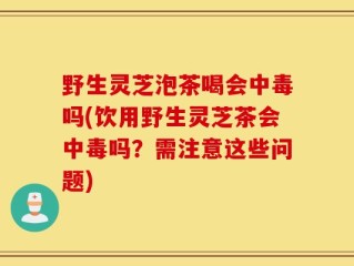 野生灵芝泡茶喝会中毒吗(饮用野生灵芝茶会中毒吗？需注意这些问题)