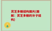 灵芝多糖结构图片(图解：灵芝多糖的分子结构)