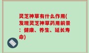 灵芝神草有什么作用(发现灵芝神草药用前景：健康、养生、延长寿命)