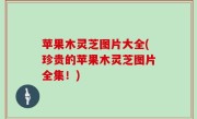 苹果木灵芝图片大全(珍贵的苹果木灵芝图片全集！)