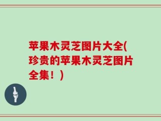 苹果木灵芝图片大全(珍贵的苹果木灵芝图片全集！)