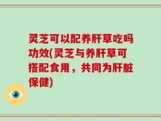 灵芝可以配养肝草吃吗功效(灵芝与养肝草可搭配食用，共同为肝脏保健)