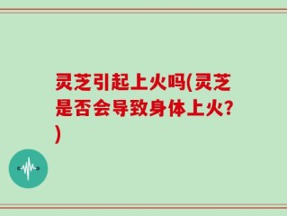 灵芝引起上火吗(灵芝是否会导致身体上火？)