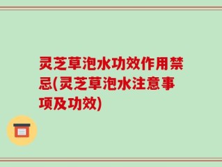 灵芝草泡水功效作用禁忌(灵芝草泡水注意事项及功效)