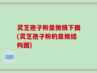 灵芝孢子粉显微镜下图(灵芝孢子粉的显微结构图)