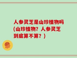 人参灵芝是山珍植物吗(山珍植物？人参灵芝到底算不算？)