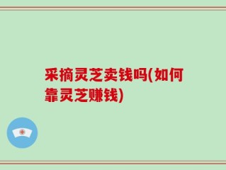 采摘灵芝卖钱吗(如何靠灵芝赚钱)