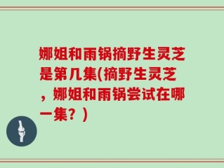 娜姐和雨锅摘野生灵芝是第几集(摘野生灵芝，娜姐和雨锅尝试在哪一集？)