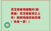 灵芝蜂蜜地摊图片(敲黑板！灵芝蜂蜜现已上市！新鲜地摊惊艳亮相！快来一尝！)