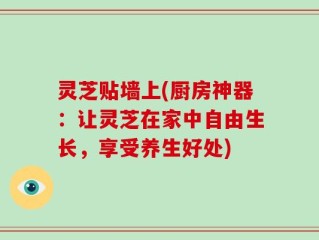 灵芝贴墙上(厨房神器：让灵芝在家中自由生长，享受养生好处)