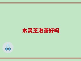 木灵芝泡茶好吗