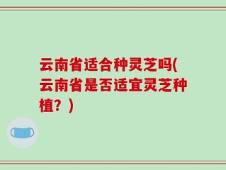 云南省适合种灵芝吗(云南省是否适宜灵芝种植？)