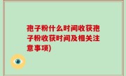 孢子粉什么时间收获孢子粉收获时间及相关注意事项)