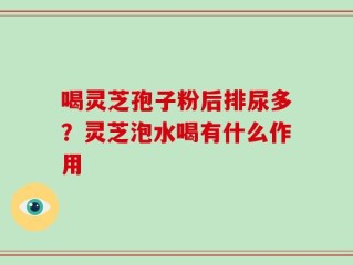 喝灵芝孢子粉后排尿多？灵芝泡水喝有什么作用