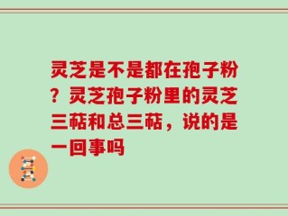 灵芝是不是都在孢子粉？灵芝孢子粉里的灵芝三萜和总三萜，说的是一回事吗