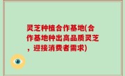 灵芝种植合作基地(合作基地种出高品质灵芝，迎接消费者需求)