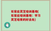石家庄灵芝培训基地(石家庄培训基地：学习灵芝培育的好去处)