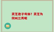 灵芝孢子母体？灵芝为何叫三秀呢