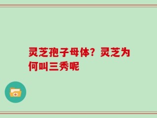 灵芝孢子母体？灵芝为何叫三秀呢