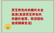 灵芝养生内衣图片大全高清(高清灵芝养生内衣图片鉴赏，助您轻松追求健康生活)