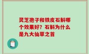 灵芝孢子和铁皮石斛哪个效果好？石斛为什么是九大仙草之首